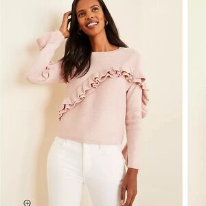 NWT Ann Taylor pink ruffle long sleeve top